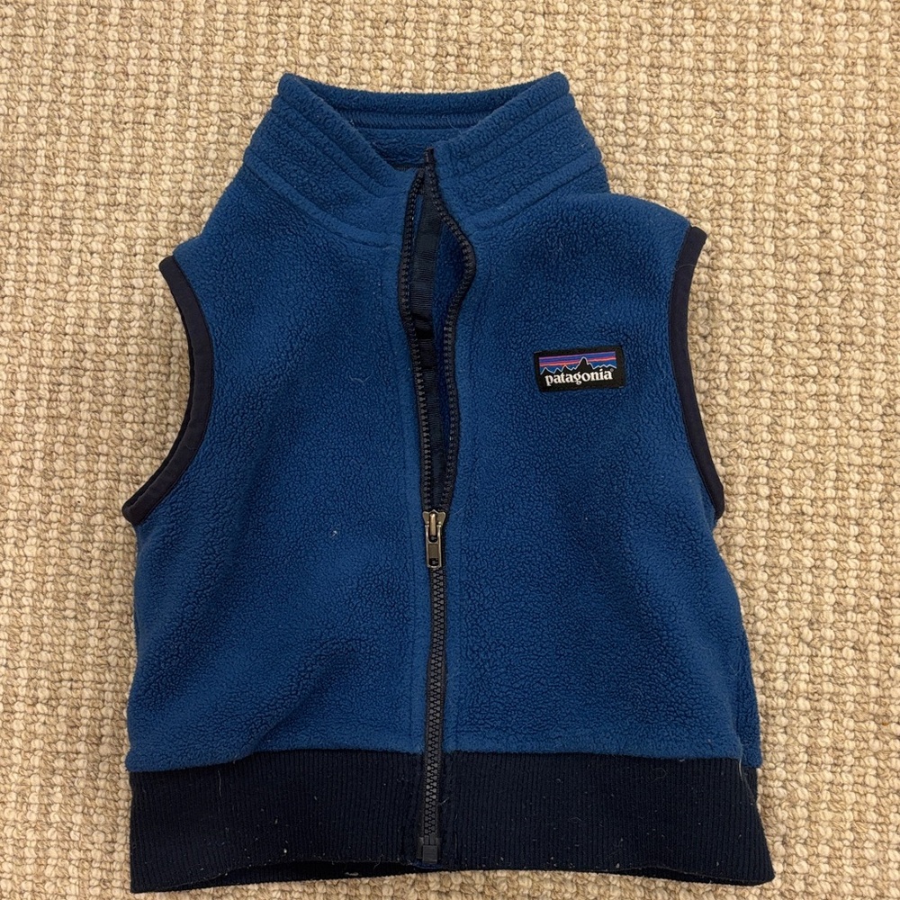 Patagonia Blue Baby Synchilla Fleece Vest